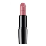 Perfect Color Lipstick 833